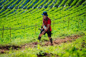 BIB: 
                            <button type="button" onclick="openModal(19161592)" class="btn btn-primary btn-sm float-right btn-popup" data-toggle="modal" data-target=".modal-high-quality">
                        <i class="fas fa-shopping-cart"></i> Add to Cart
                    </button>
                                            <button type="button" onclick="isThisMe(19161592, true)" class="btn btn-success btn-sm float-right btn-popup btn-isme hidden" data-toggle="tooltip" data-placement="bottom" title="นี่คือรูปของคุณใช่ไหม คลิกที่นี่เพื่อเอาเข้าอัลบั้ม">
                        <i class="fas fa-plus"></i> Add to album
                    </button>
                    <button type="button" onclick="isThisMe(19161592, false)" class="btn btn-warning btn-sm float-right btn-popup btn-isnotme hidden">
                        <i class="fas fa-ban"></i> Remove from album
                    </button>